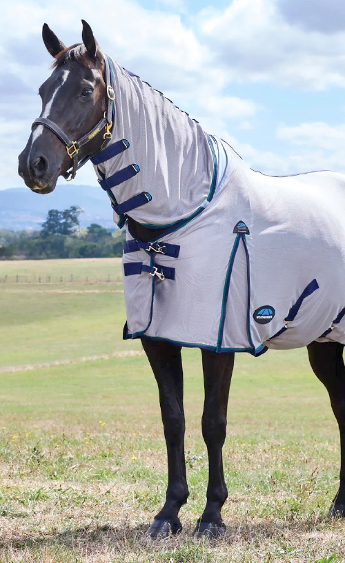 fly sheets for horses-fly masks for horses-fly protection for horses